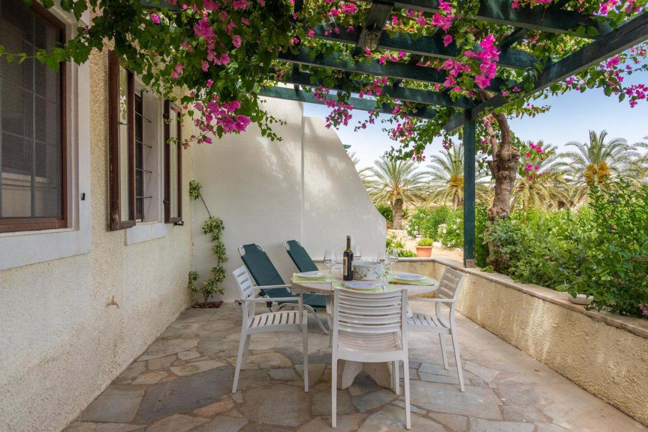 סיטייה Bougainvillea House In Crete מראה חיצוני תמונה